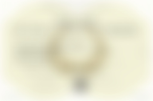 Chablis Hebdo : Chablis passe son BAC mention GAY