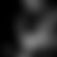 Stéphane Payen: échanges français et transatlantiq...