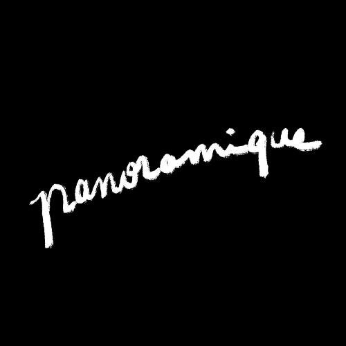 Épisode Stephen King au cinéma, les partitions diaboliques de l'émission panoraMiX