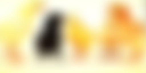 Itinéraires Croisés #33 de Kinshasa à Maisons-Alfo...