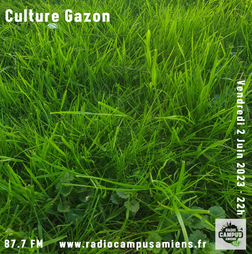 Culture Gazon