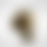 BRTZ Podcast / Sameer Ahmad