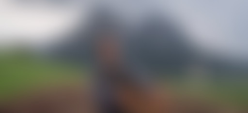 Extérieur Nuit : VICES CACHÉS