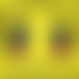 TFOA reçoit Chateau Marmont (Festival Les Nuits Cl...