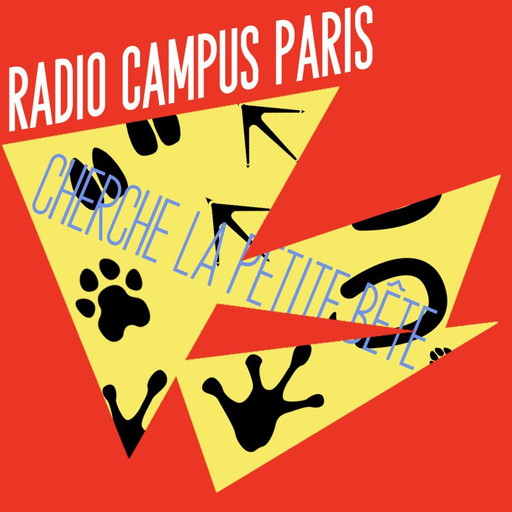 Épisode Cherche la petite bête : Columba livia de l'émission Cherche la Petite Bête