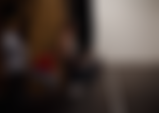 Pièces détachées : P.U.L.S.