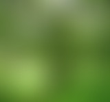 La Puce à l'Oreille descend de l'arbre // 22 mai 2...