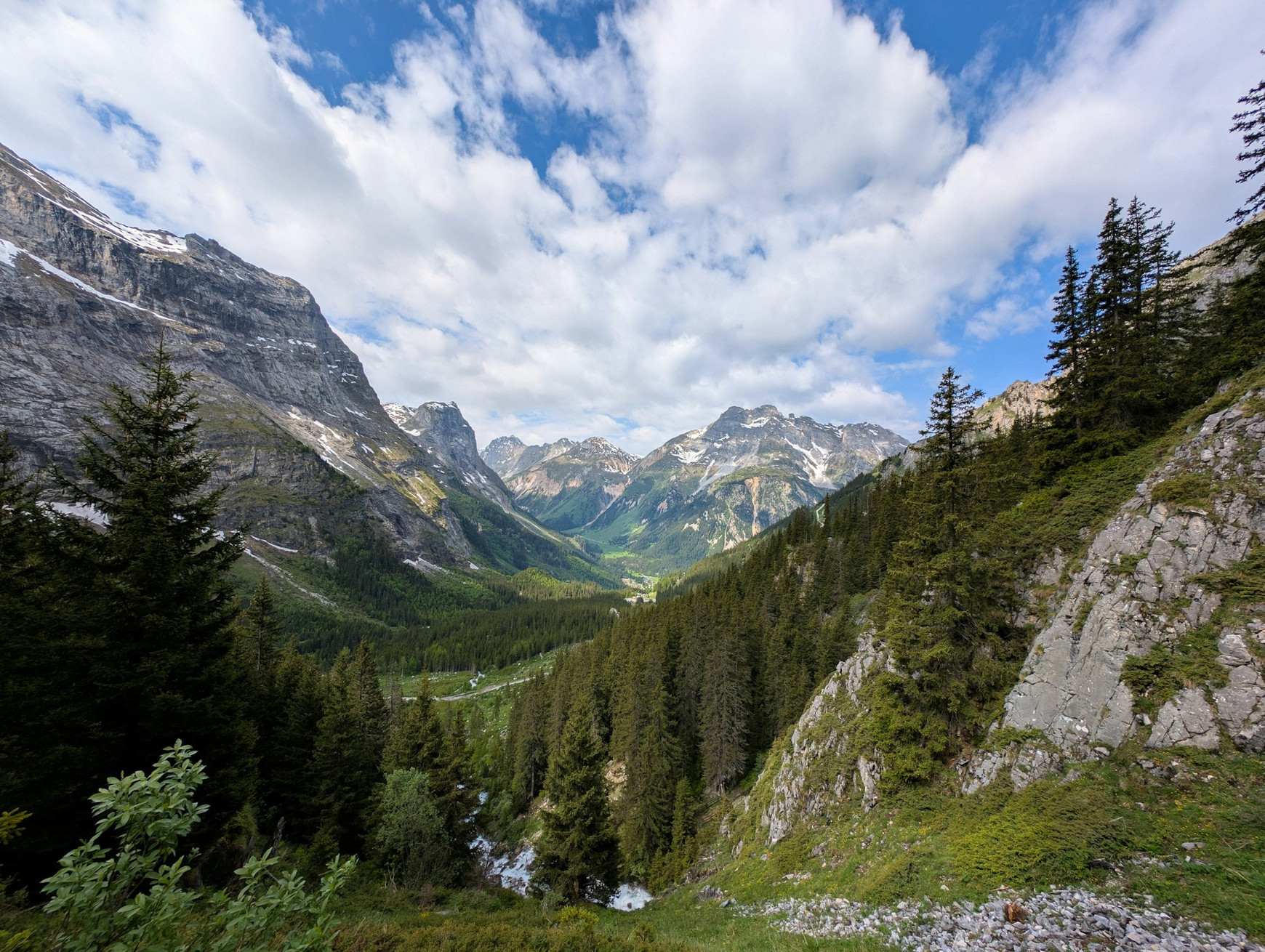 © Adrien Stachowiak via Unsplash À chaque espèce son espace