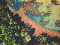 Interdépendances entre écosystèmes : les méta-écosystèmes