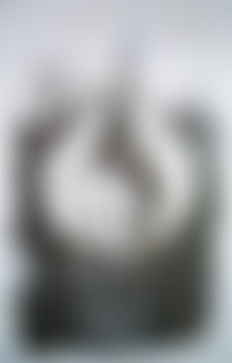 37°2 / Sophie, créatrice de métamorphoses sociales