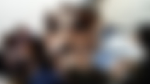 RADIO CAMPING #11 - Escale à Jeune Création !