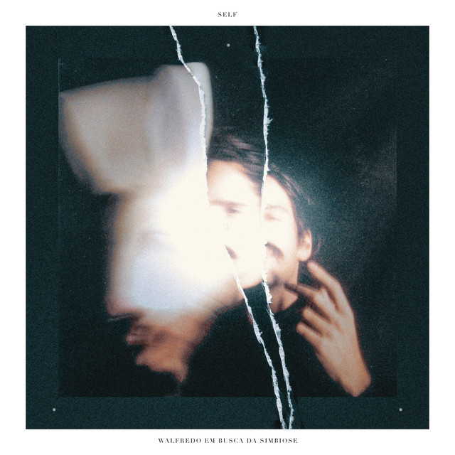 Traumas de Estimação