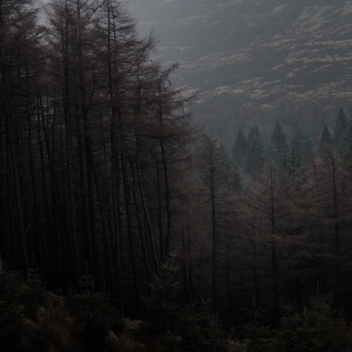 Épisode Amplitudes : Best of 2016 de l'émission Amplitudes