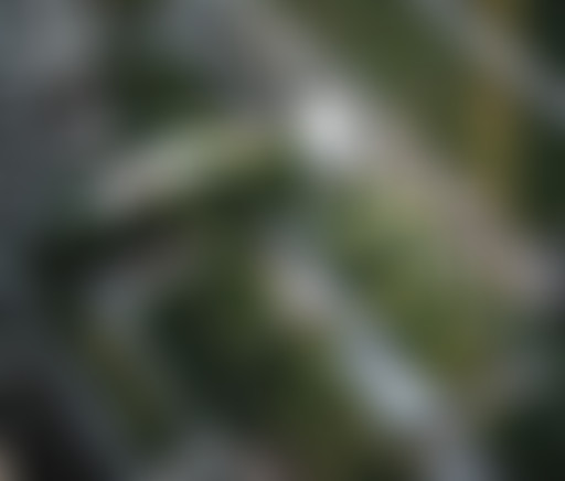 La relève + de jardin dans les villes avec H. Meun...