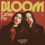 Larkin Poe • Little Bit - Unplugged