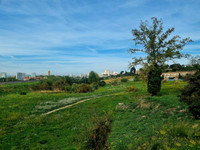 Villes Terrestre, une approche protéiforme pour imaginer des villes (vraiment) écologiques - L'Europe vue d'ici #136