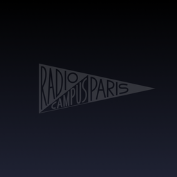 UNKNOWN ARTIST - Grey Area 04 #3