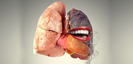 Épisode Chablis Hebdo // Chablis est le poumon... de l'émission Chablis Hebdo