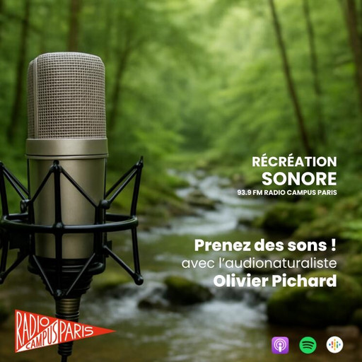 Rediffusion - Olivier Pichard : prenez des sons !