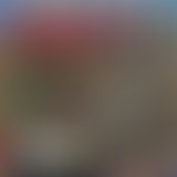 M.E 22.01 Mobilisation Générale : Protest & Spirit...