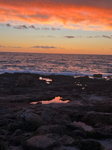 Voix enchantées épisode 37 - Wendy