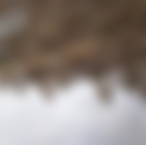 Récréation Sonore: LA VOIX#2