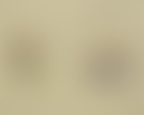 SONGAZM #9: Les Pets