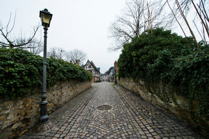 Martinfeld : SMARTinfeld