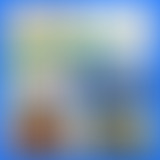 Mercredi ! L'écologie sans soucis !