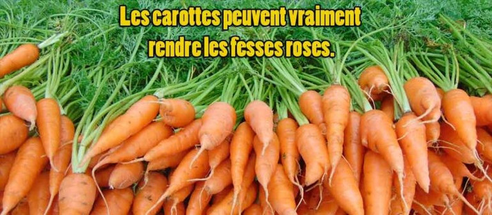 Épisode Chablis Hebdo met la carotte de l'émission Chablis Hebdo