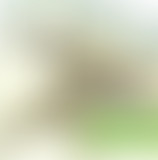 Têtes de Vainqueurs – Dopage des sportifs