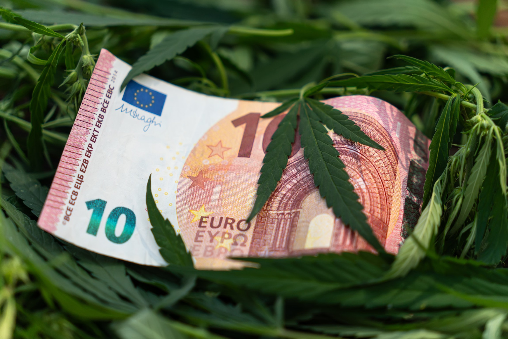 Melnikov Dmitriy - shutterstock Drogues : l’Europe face à un marché qui ne connaît pas la crise