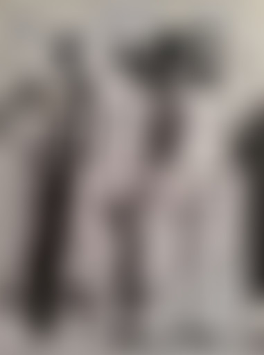 37°2 / Brouilleur de piste