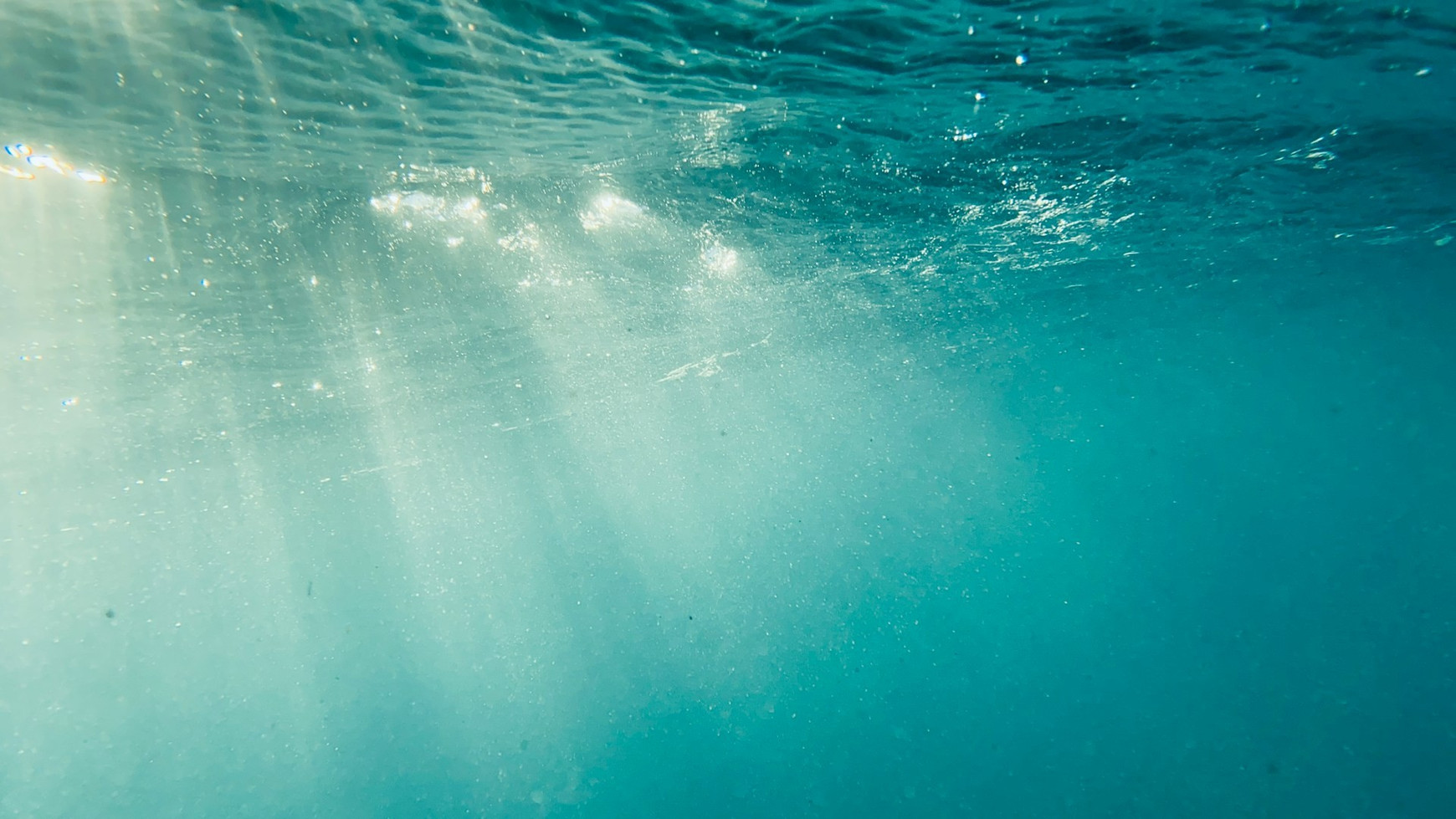 Photo de Kyoukan Airwayz sur Unsplash Les cyanobactéries marines