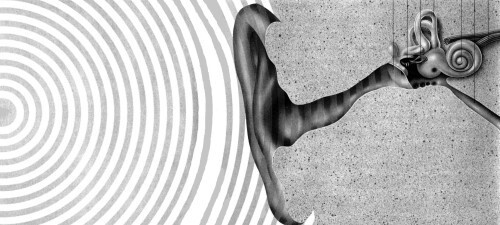 Épisode Déshabillez-moi la musique de l'émission Déshabillez-Moi