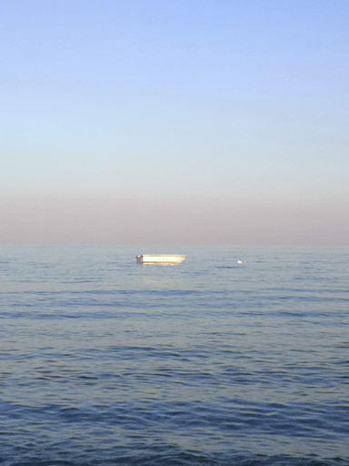 Épisode Episode 4 - Théo de l'émission Voix enchantées