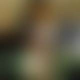 La Séance du dimanche #22 : Le Bon, la brute, et l...