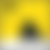 HISTOIRES DE : GRIME