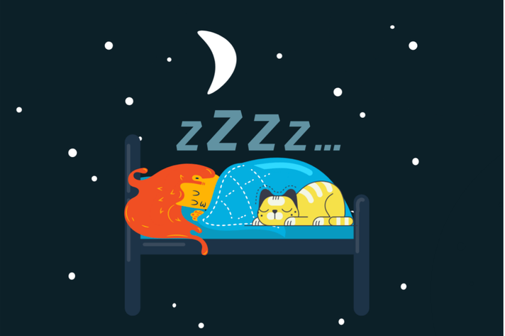 Épisode Mercredi ! Les mini-reporters interviewent des pet... de l'émission Mercredi !