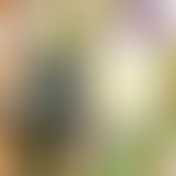 Yummy : Découvertes françaises et rock italien