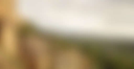 Mappemonde x digital emotions : Toscana Disco