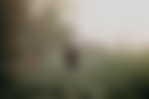 #5 Chasse et écologie, éternels ennemis ?