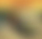 Skarra Mucci @ Bam Salute Show