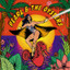 Pearl & The Oysters • Vitamin D