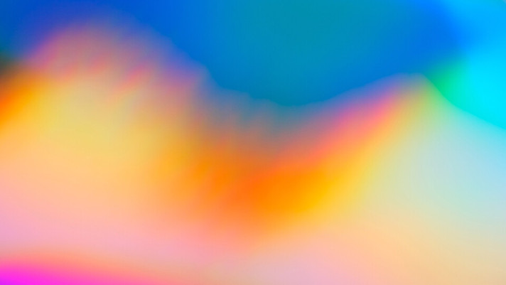 Épisode Novorama - spéciale Festivals de Printemps de l'émission Novorama