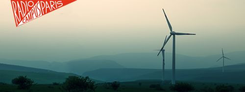 Épisode TriFaZé #20 : Thomas Fersen, Sophie Le Cam de l'émission TriFaZé