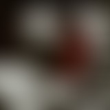 Lions Milk #120- Haze's Dance