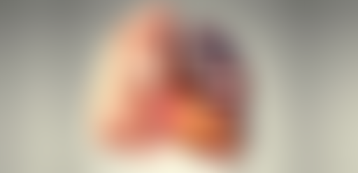 Chablis Hebdo // Chablis est le poumon...