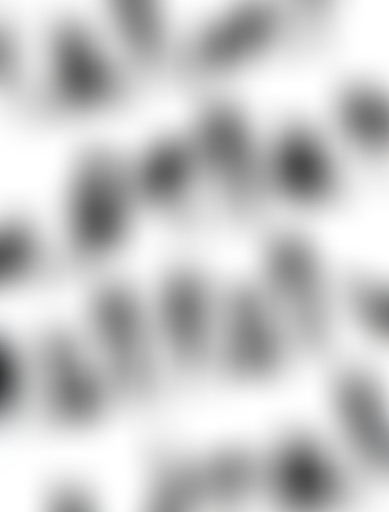 Kakkmaddafakka, hystérie et génie du grand froid (...