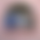 Bam Salute Show - Rentrée 2015/2016